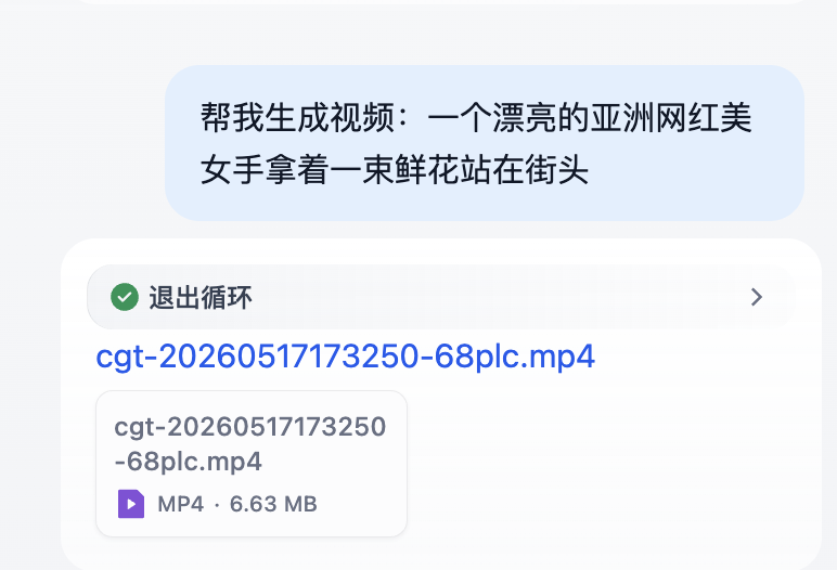 图 5.30 视频助手
